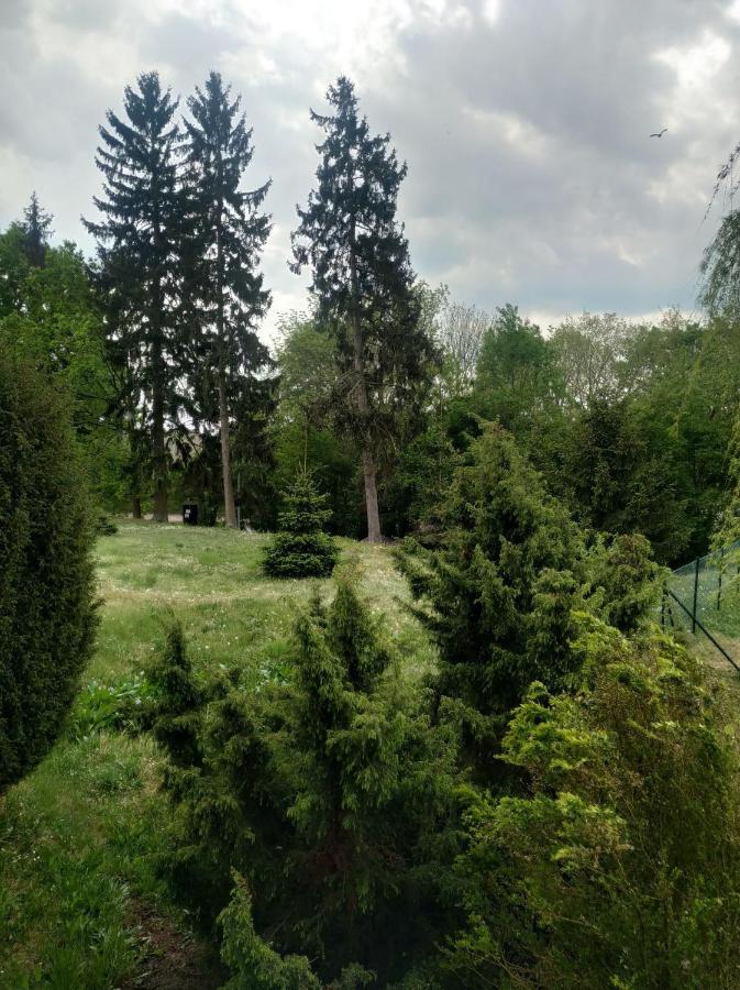 Łagów Apartament Na Gorce מראה חיצוני תמונה